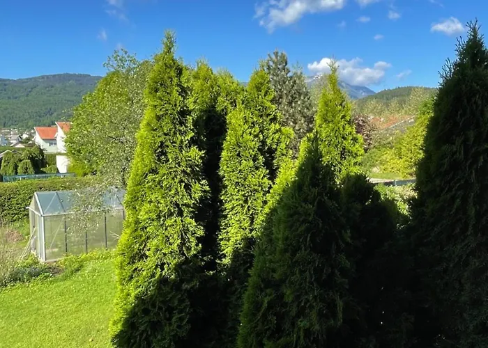 Lägenhet Haus Bergblick